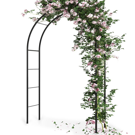 Garden Arch Metal 145x235 cm