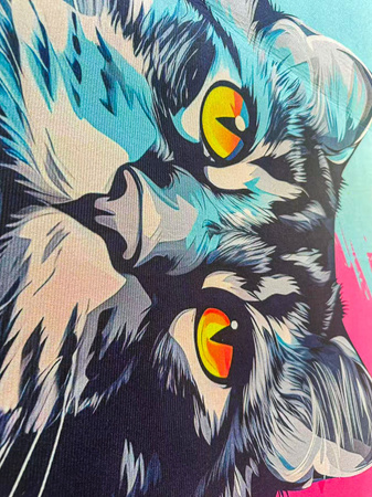 3D Strado MAIN COON 100x150 cm modern carpet for gamer's room