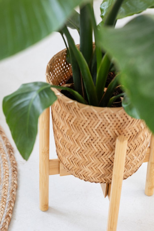 Kwietnik stojący REGULOWANY 25-36 drewniany stojak na kwiaty rośliny NEST