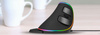 Ergonomic Computer Mouse - Delux M618 RGB Black