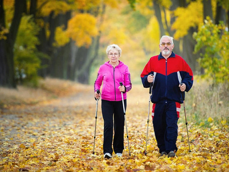 Kijek nordic walking trekingowe kij kije korkowa rączka 2 sztuki