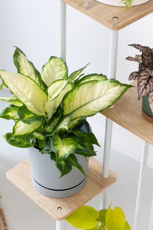 Kwietnik metalowy na kwiaty stojący wysoki 5 poziomów duży 106cm XL PALACE, biały