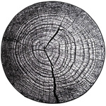 NOVO Strado modern tree trunk carpet for living room grey pattern Grey Trunk 200x200 cm