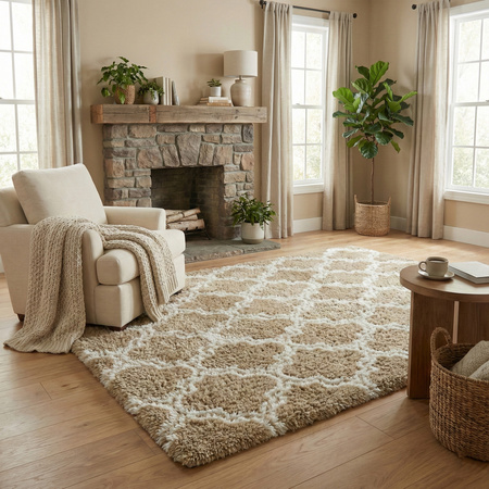 Dywan do salonu shaggy DECOR antypoślizgowy miękki puszysty modny 140x200, khaki